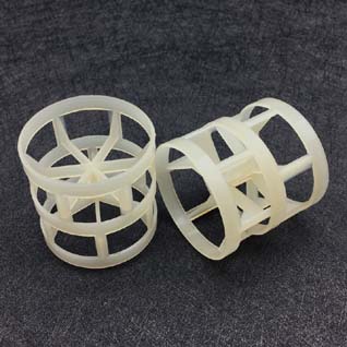 Plastic Pall Ring